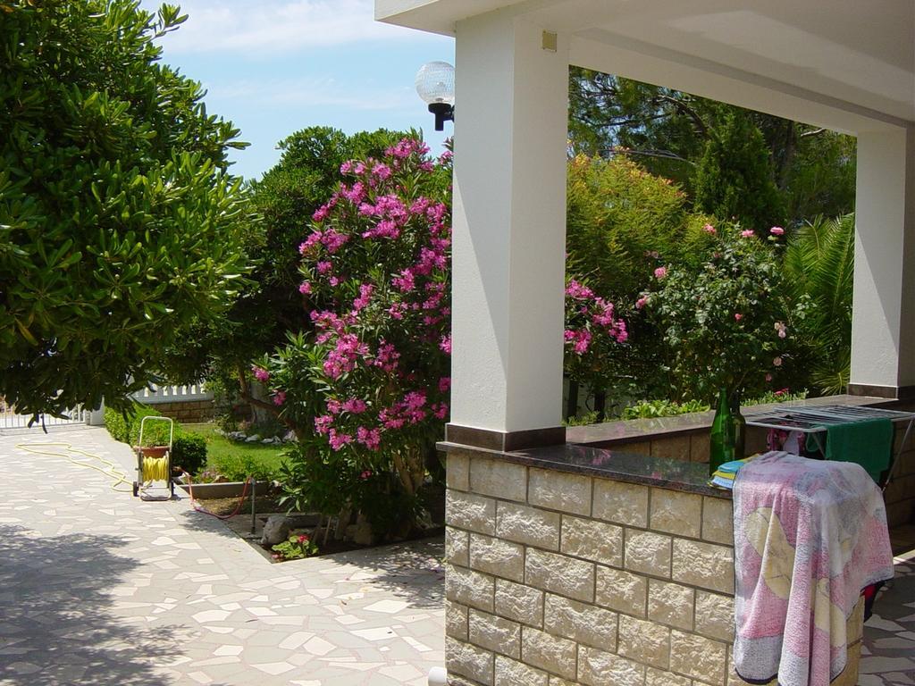 Villa Pagar - With Jacuzzi - Renovated In 2022 Povljana Exterior foto