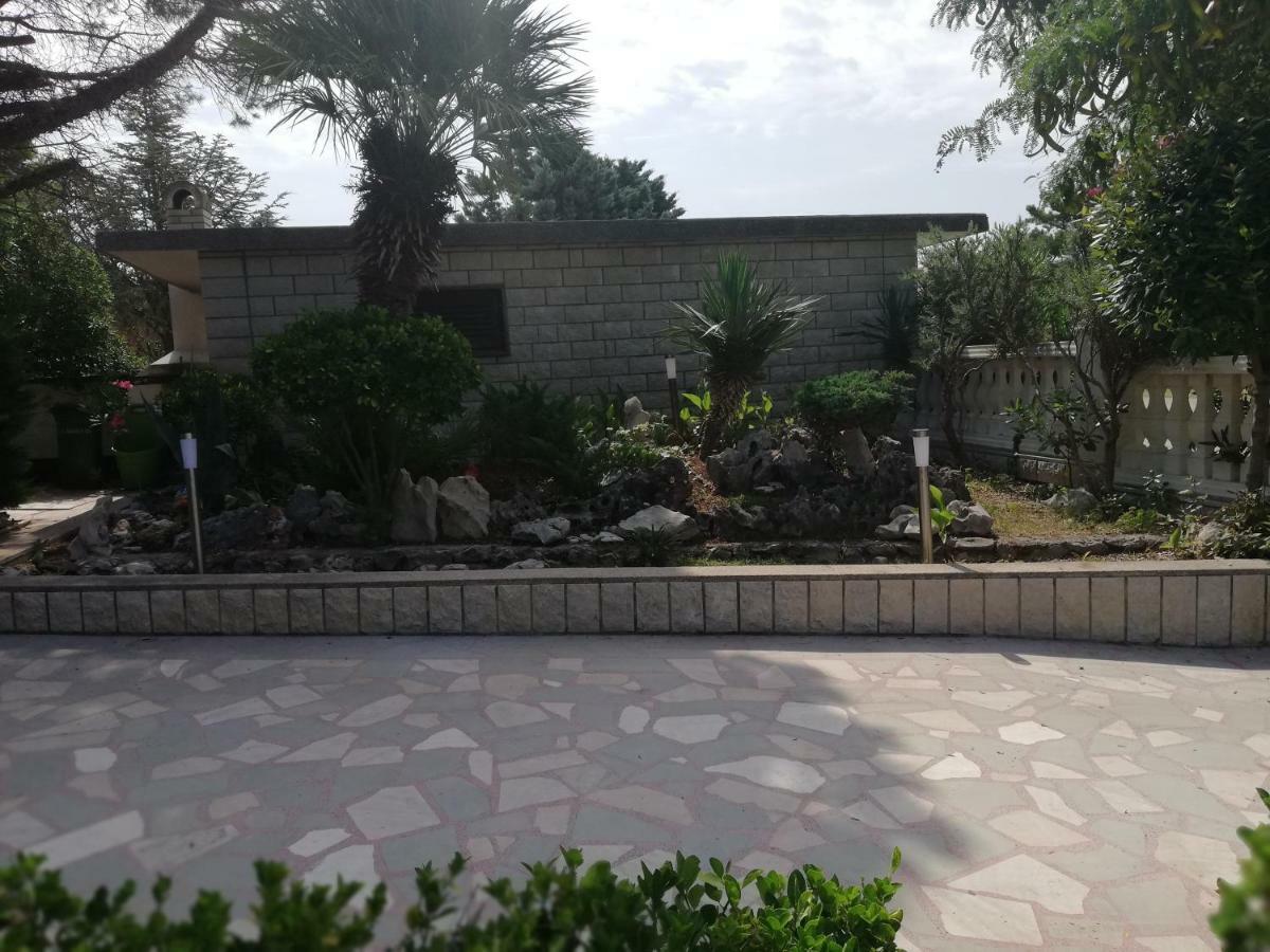 Villa Pagar - With Jacuzzi - Renovated In 2022 Povljana Exterior foto